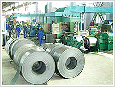 ���������Ƶ���ʲô���Ĳ�Ʒ